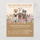 Search for veterinary flyers Grooming
