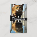 Recherche de dog visite photographie Animal