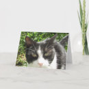 Search for blank photo cards Picture