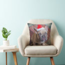Recherche de french bulldog coussins Canine