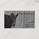Search for dairy milk business cards Black and white