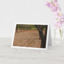 Search for almonds cards Landscape