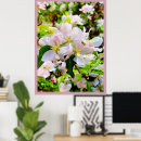Recherche de pommier posters Arbres fruitiers