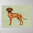 Search for lion brown posters Cute