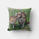 Recherche de kangourous coussins Faune