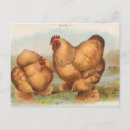 Recherche de cochin posters Ferme