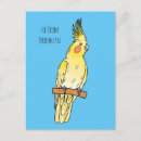 Recherche de cockatiel cartes postales Oiseau