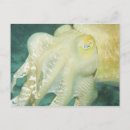 Search for province postcards Ocean