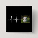 Recherche de battement badges Chien