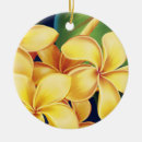 Recherche de plumeria ornements Hawaii