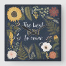 Search for sunflower clocks Wildflowers