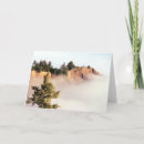 Search for humboldt cards California