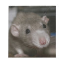 Search for eyes closed Pet