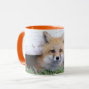 Search for kitting mugs Animals in the wild