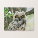 Search for birds of prey puzzles Wild