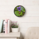 Recherche de de coccinelle horloges Insecte