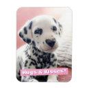 Search for funny valentines day rectangular magnets Avanti press