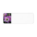 Search for dahlia return address labels Summer