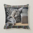 Recherche de tigres coussins Photographie