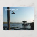 Search for suwannee Florida