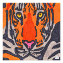 Search for orange dot posters Animal