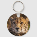 Search for cheetah cat keychains Wildlife