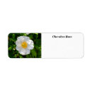Search for rose petals return address labels Nature