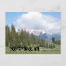 Search for keystone postcards Colorado