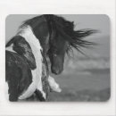 Search for black white horse mousepads Stallion