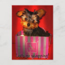 Search for yorkie puppy postcards Animal