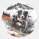 Search for bernese mountain dog lovers stickers Animal