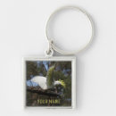 Search for bird wings keychains Animal