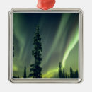 Search for aurora ornaments Forest