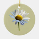 Search for shadow ornaments White