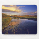 Search for river near electronics Scenic
