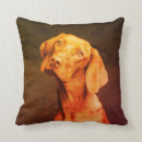 Search for vizsla pillows Hungarian pointer