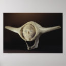 Recherche de inuit art Os