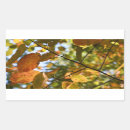 Search for large fall stickers Foliage