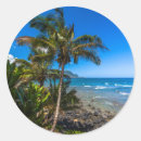 Search for hanalei stickers Andrew shoemaker