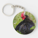 Recherche de élevage porteclés Coq