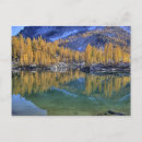 Recherche de montagnes cascade cartes postales Arbre