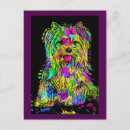 Search for yorkies postcards Animals