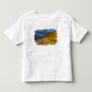 Search for loreto tshirts Landscape