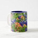 Search for paintbrushes mugs Texas wildflowers
