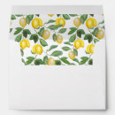 Search for lemon envelopes Summer