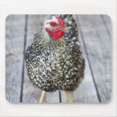 Search for one year electronics Birds around the world