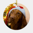 Search for vizsla ornaments Dog