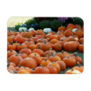 Search for fall holiday magnets October