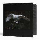 Search for snowy binders Bird