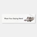 Search for gators bumper stickers Crocodile